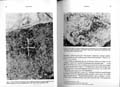 Faravid_10_037