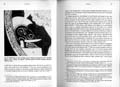 Faravid_15_031
